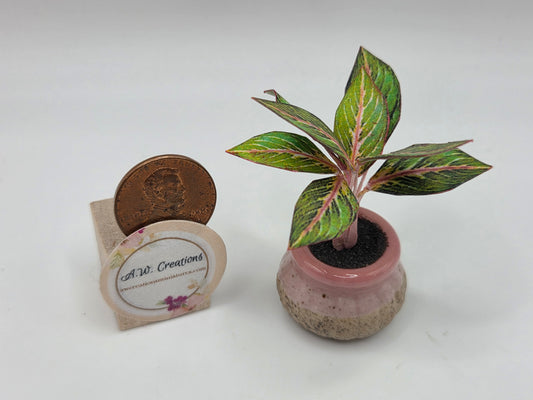 Plant - Pink and Brown