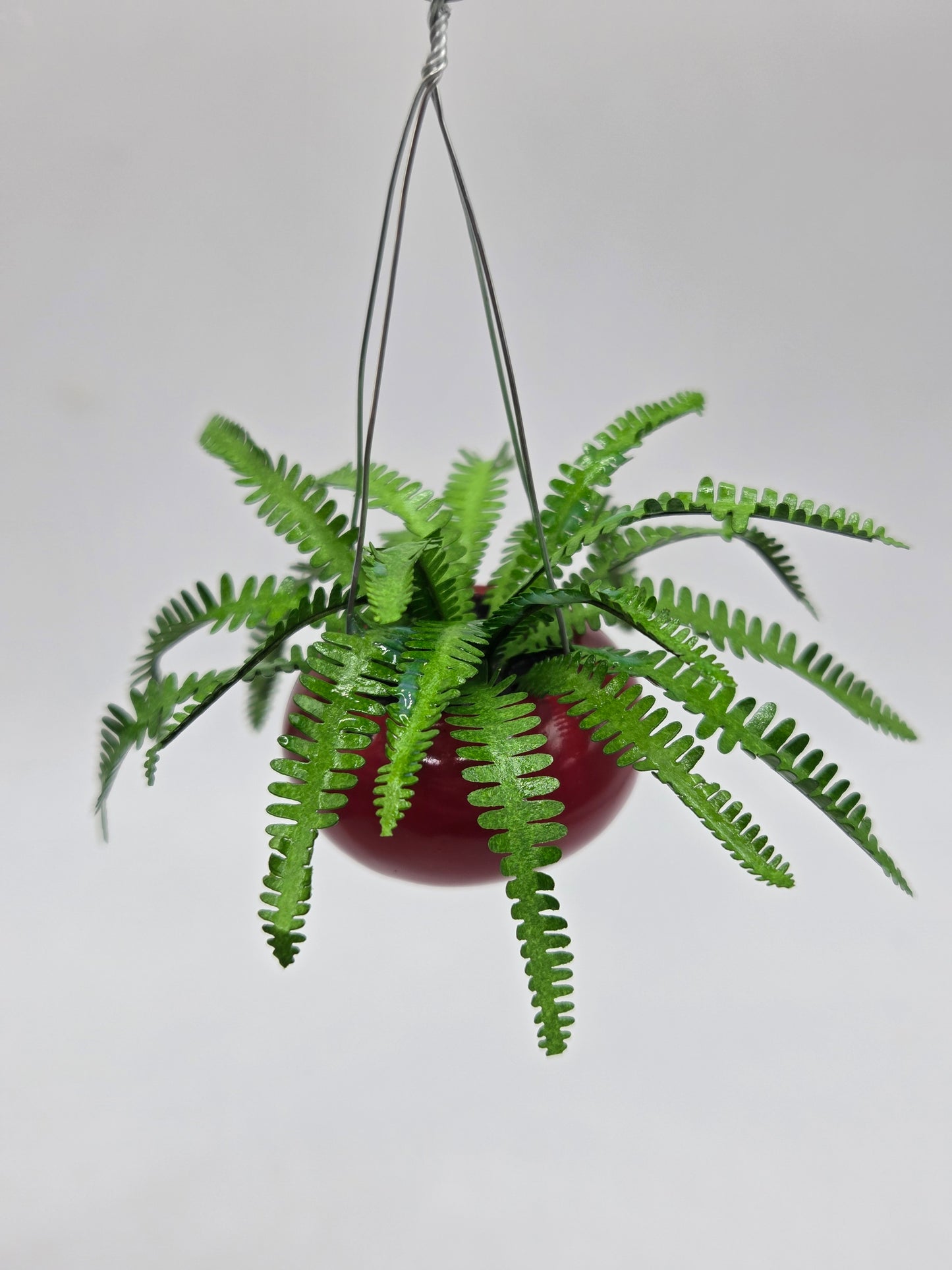 Hanging Boston Fern - Red