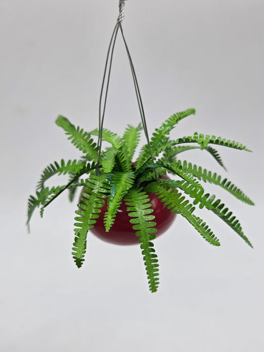 Hanging Boston Fern - Red