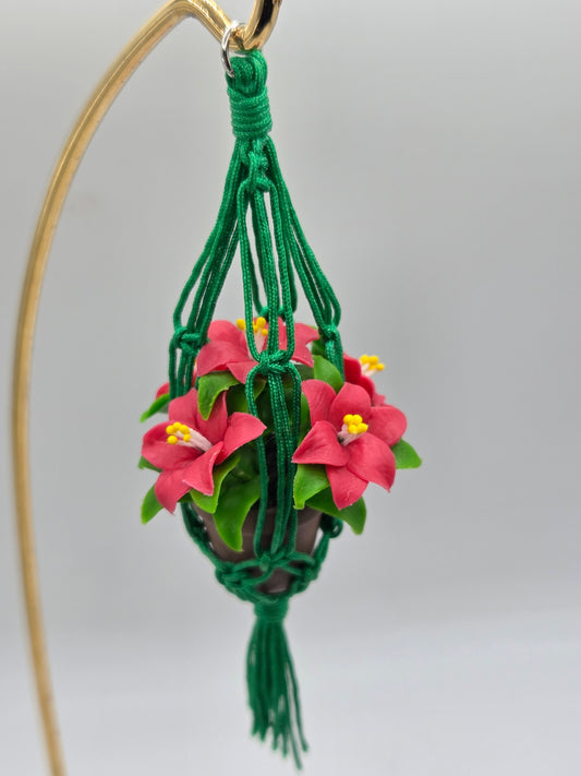 Hanging Plant - Poinsettia in Green Macrame