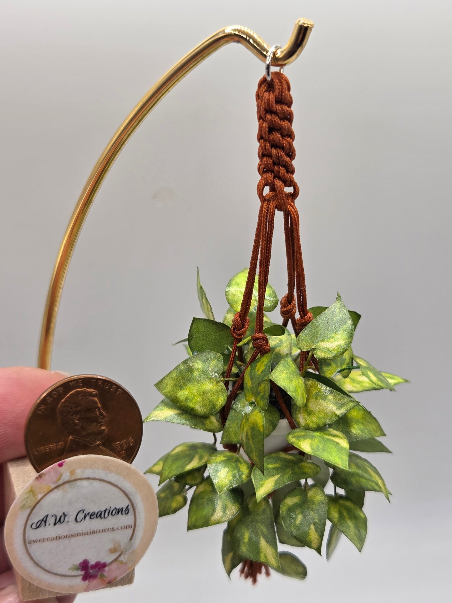 Hanging Plant - Pothos in Brown Macrame