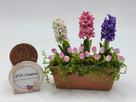 Long Planter - Tulips and Hyacinths