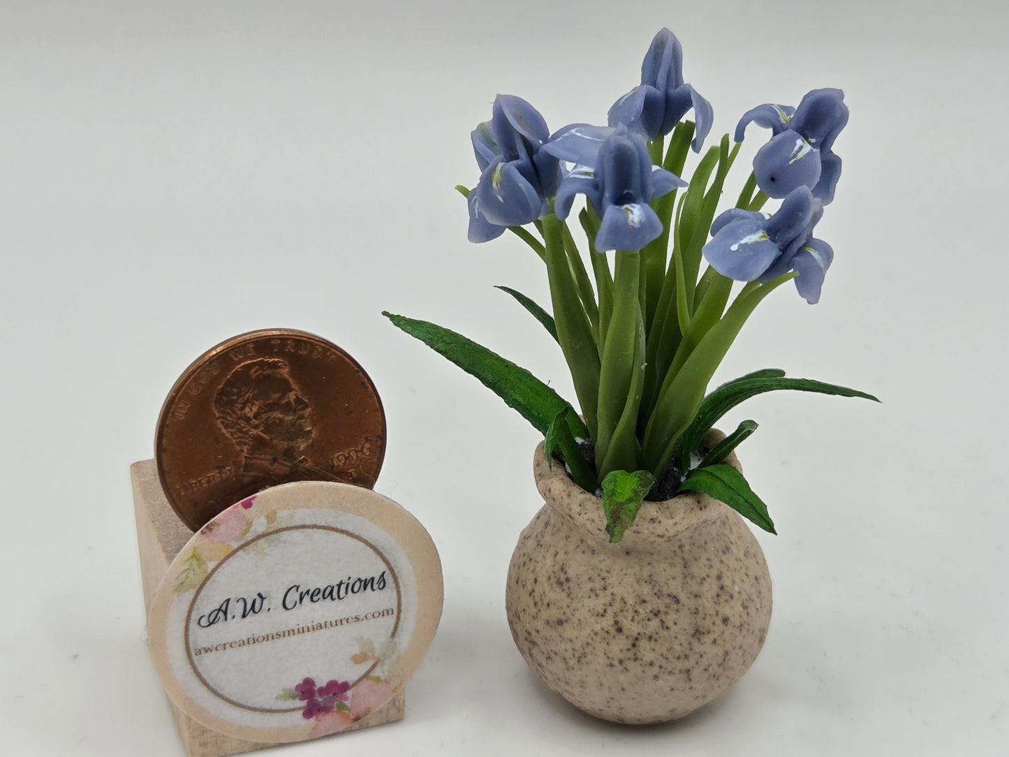 Iris Planter