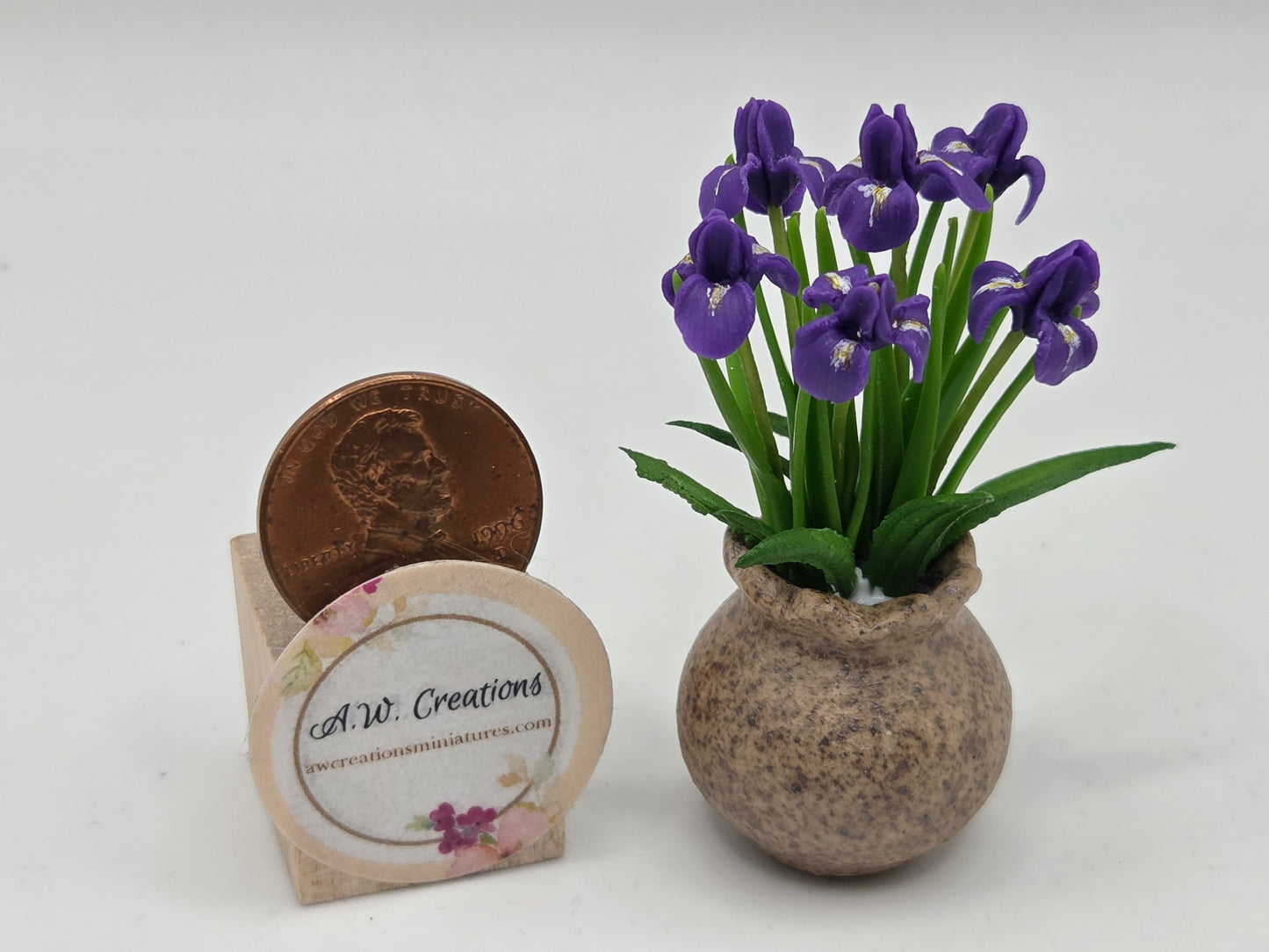 Iris Planter