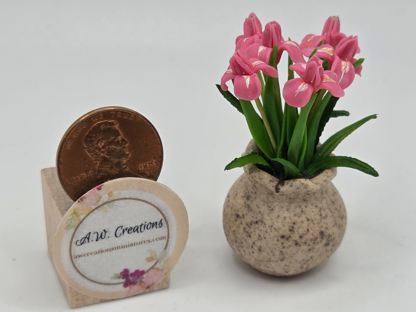 Iris Planter