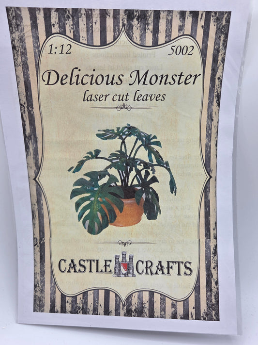 Kit - Delicious Monstera #5002