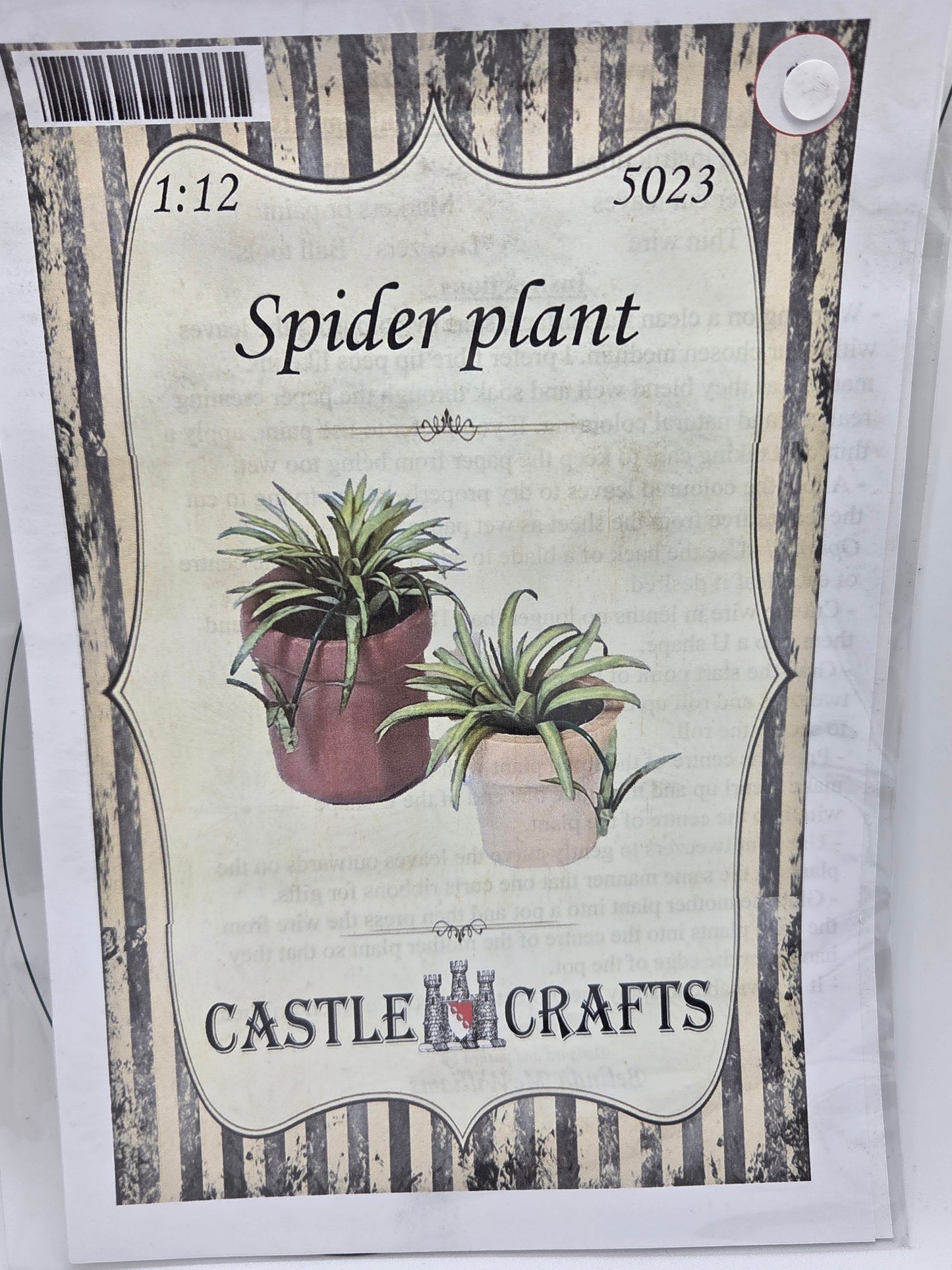 Kit - Spider Plant #5023