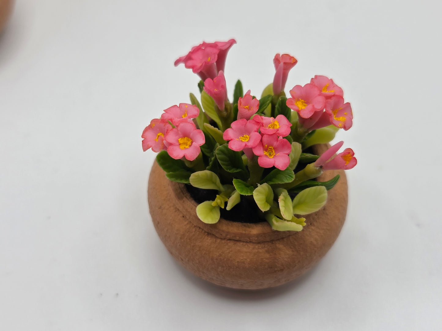 Clay Planter - Flowering Plants
