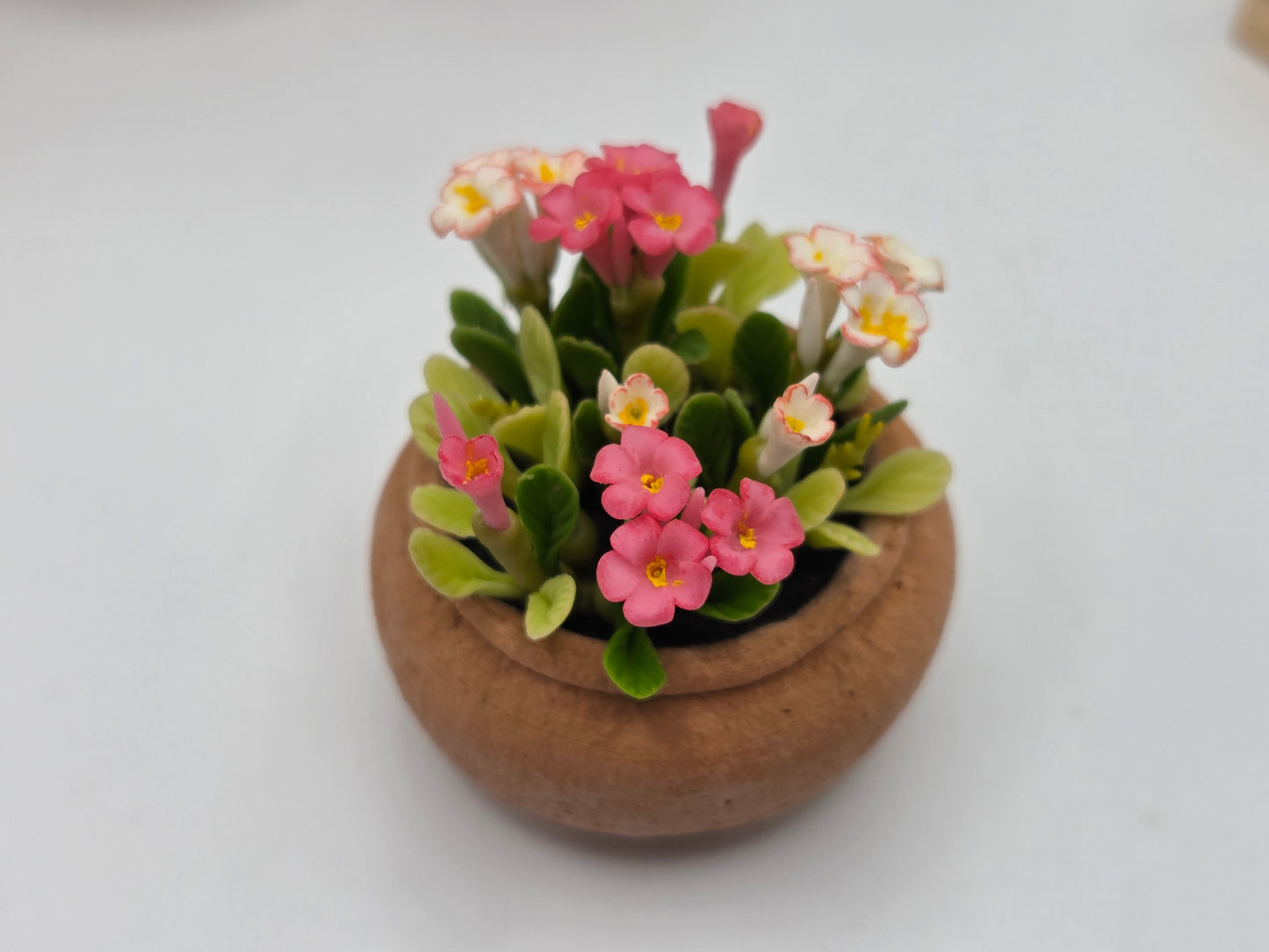 Clay Planter - Flowering Plants