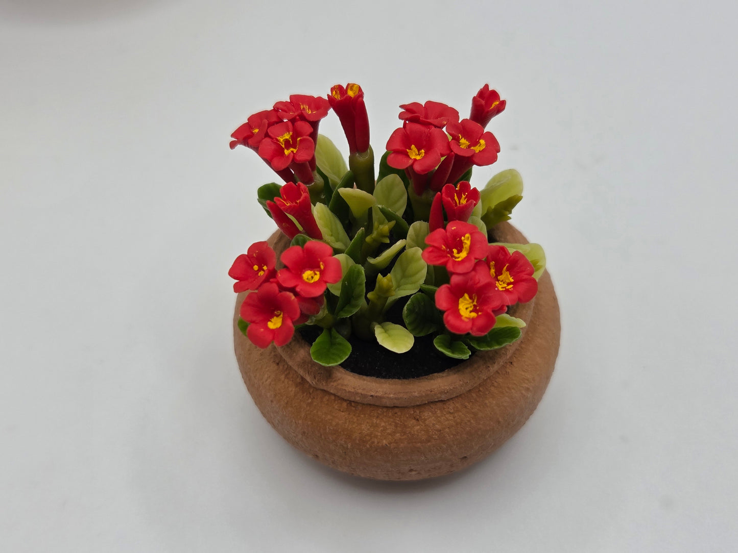 Clay Planter - Flowering Plants