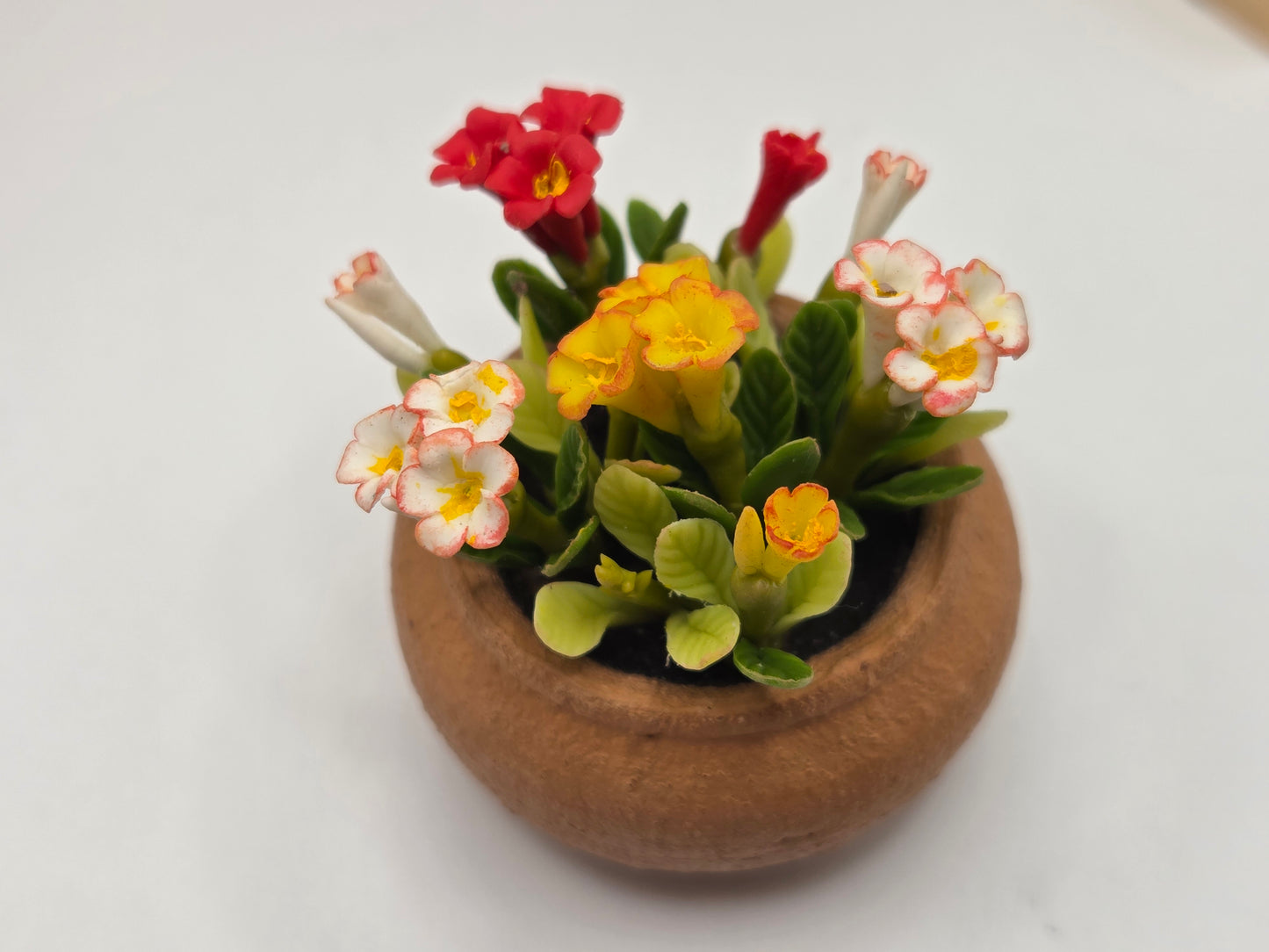 Clay Planter - Flowering Plants