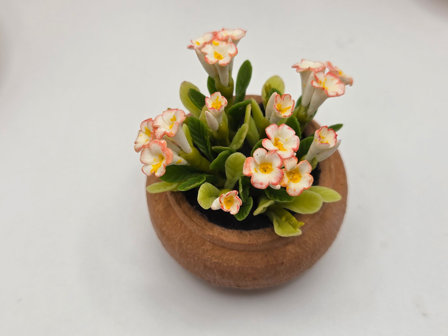 Clay Planter - Flowering Plants