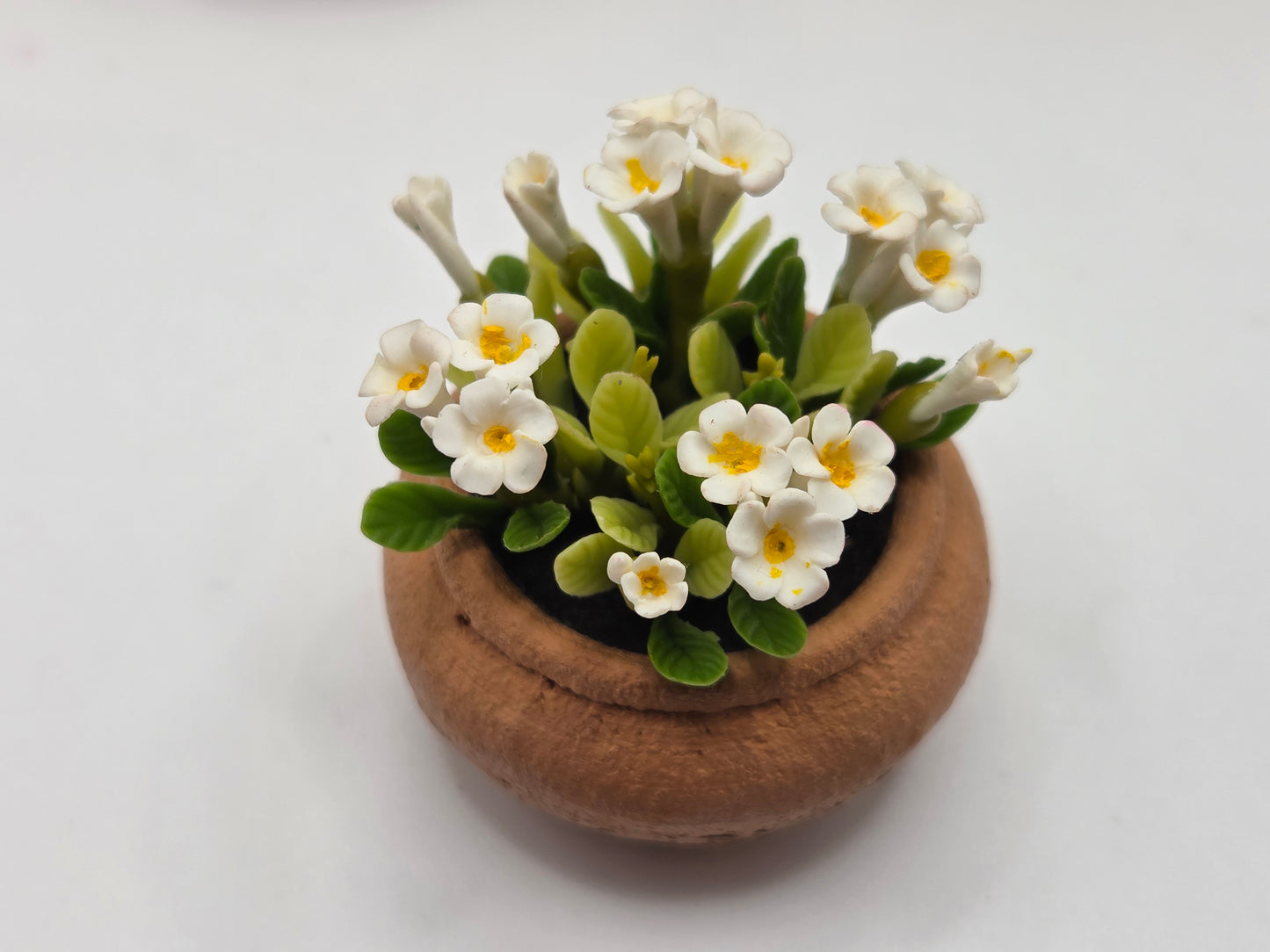 Clay Planter - Flowering Plants