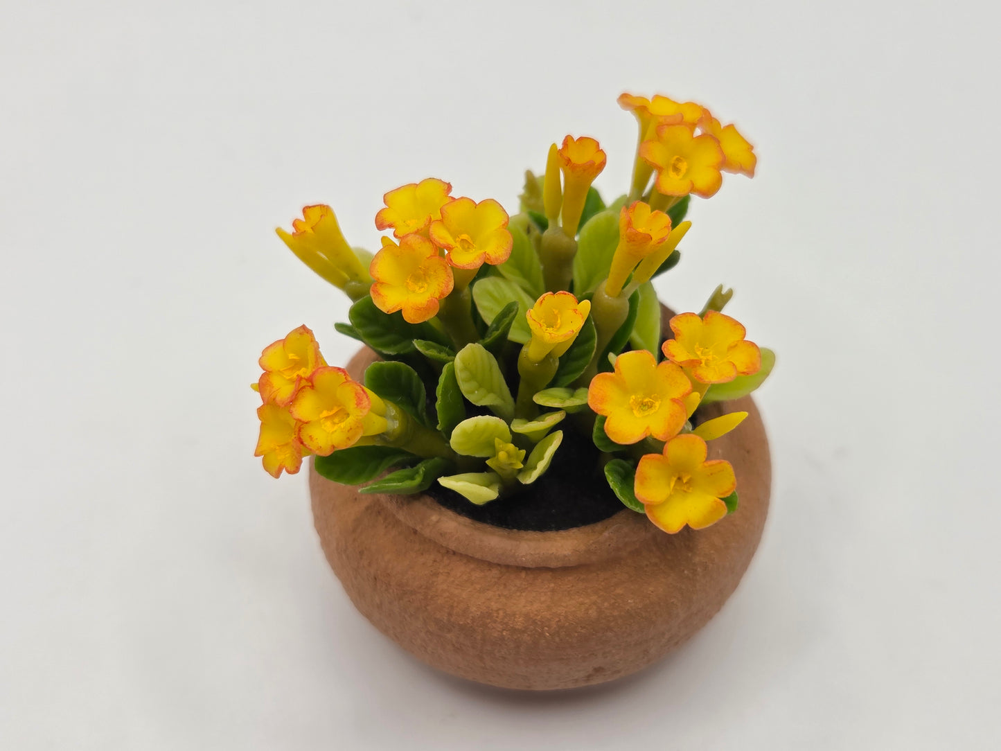 Clay Planter - Flowering Plants