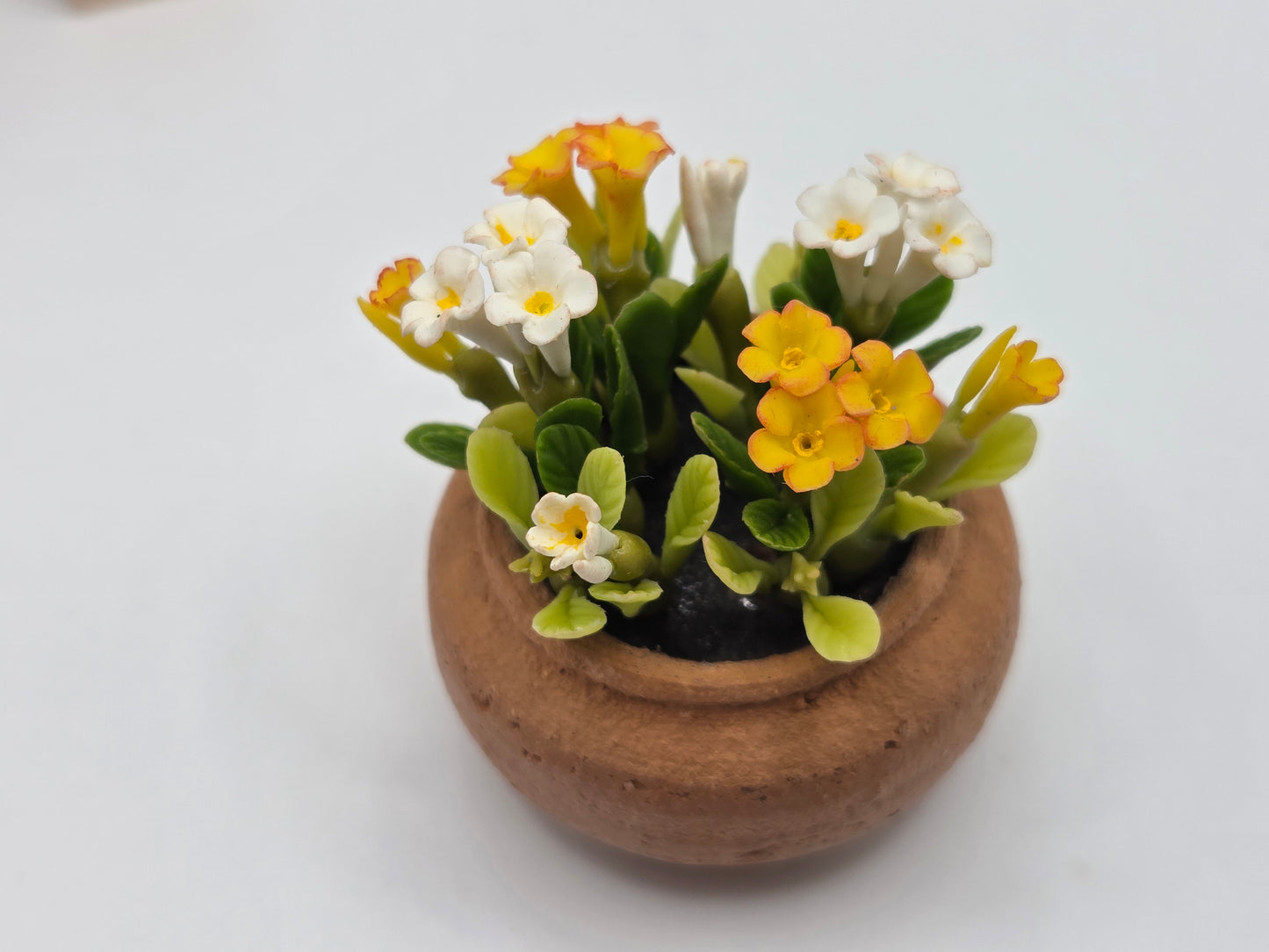 Clay Planter - Flowering Plants