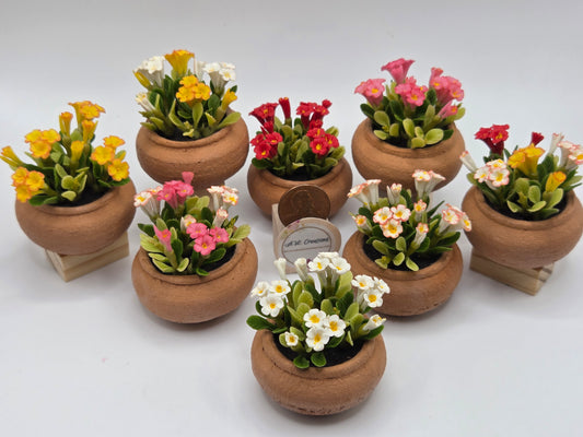Clay Planter - Flowering Plants