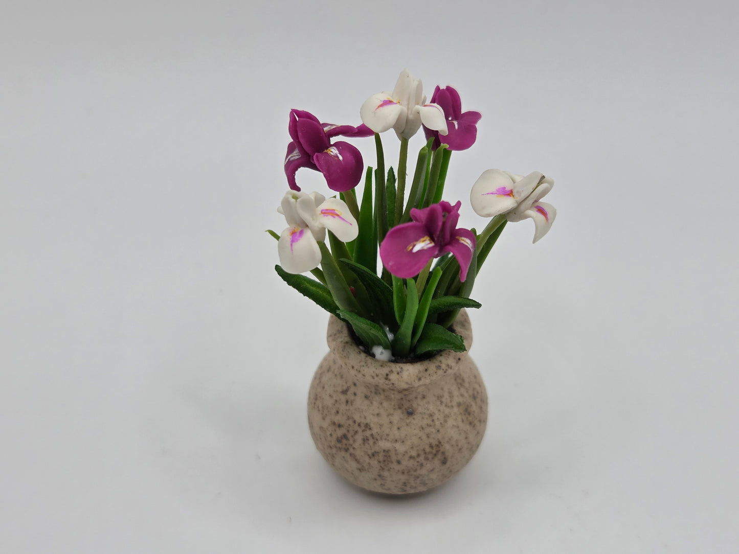 Iris Planter