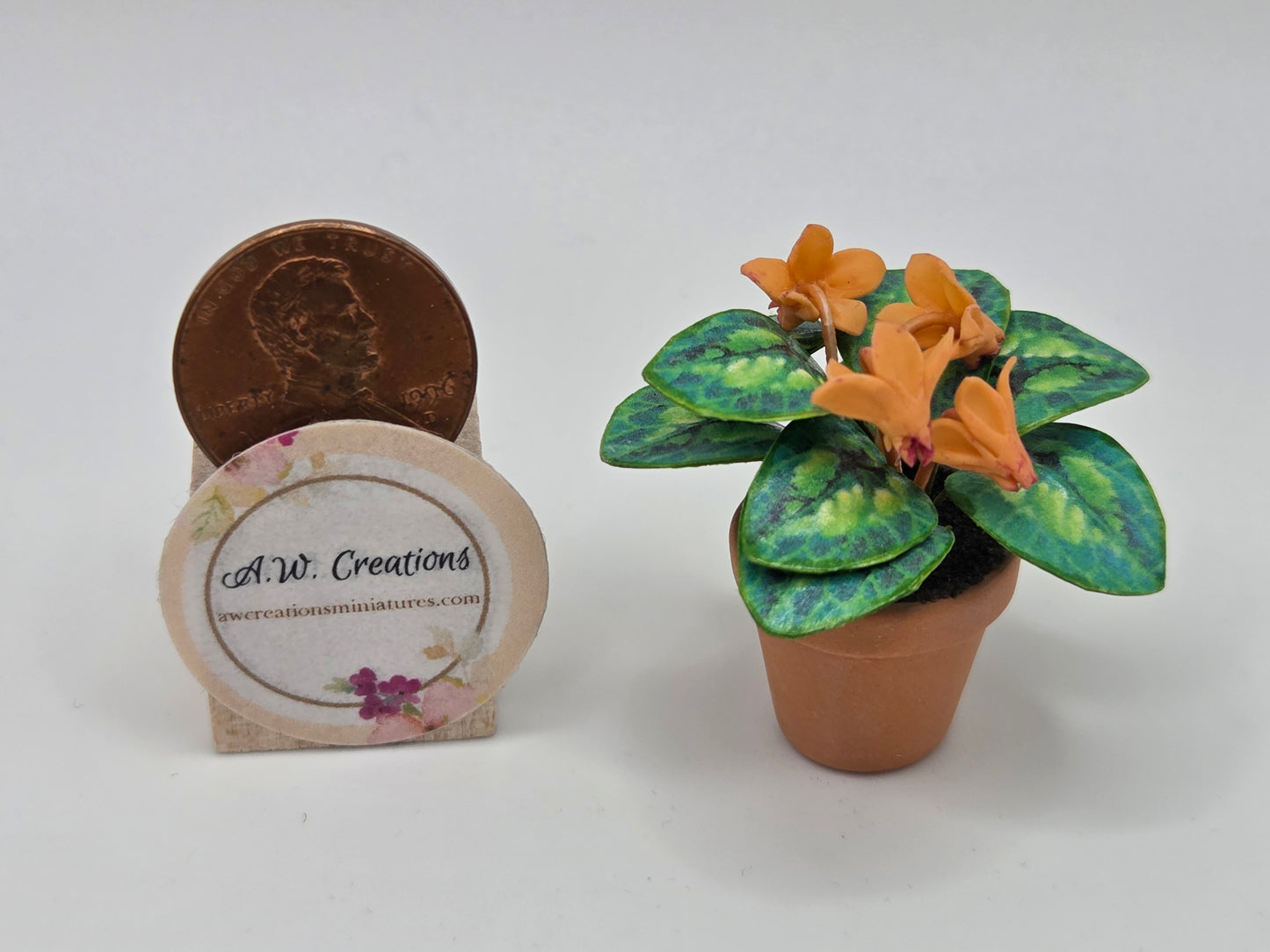 Flowering Plant - Cyclamen