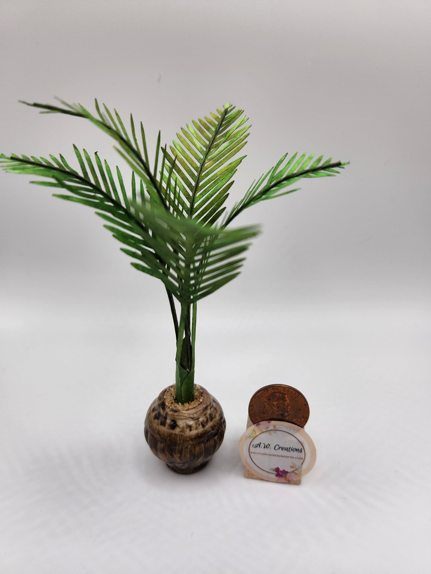 Palm in brown urn pot