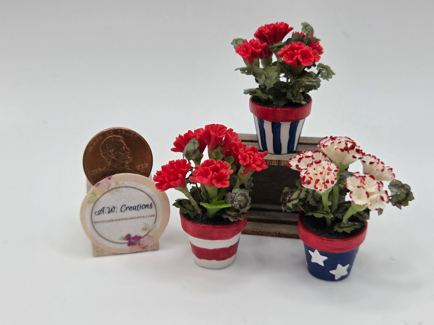 Patriotic Potted Geranium