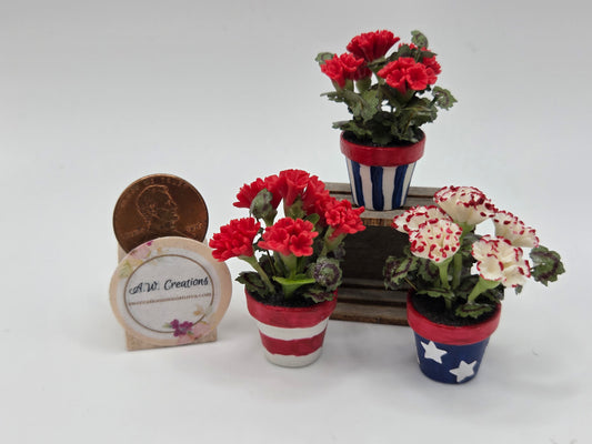 Patriotic Potted Geranium