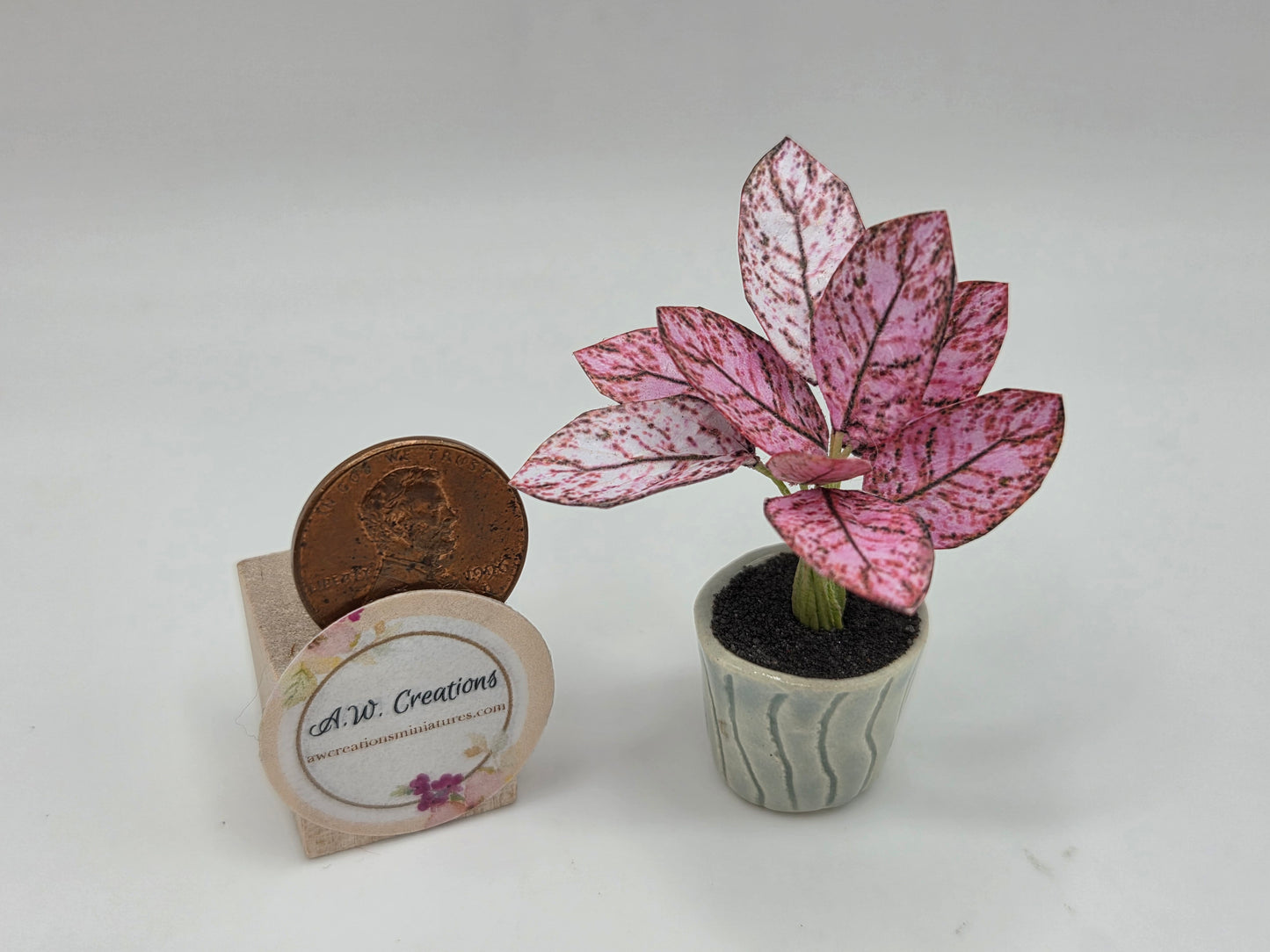 Plant - Pink