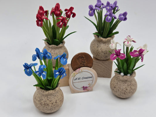 Iris Planter