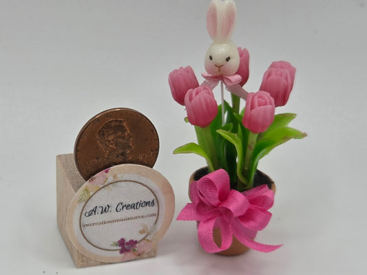 Potted Tulips - Two Tone Pink