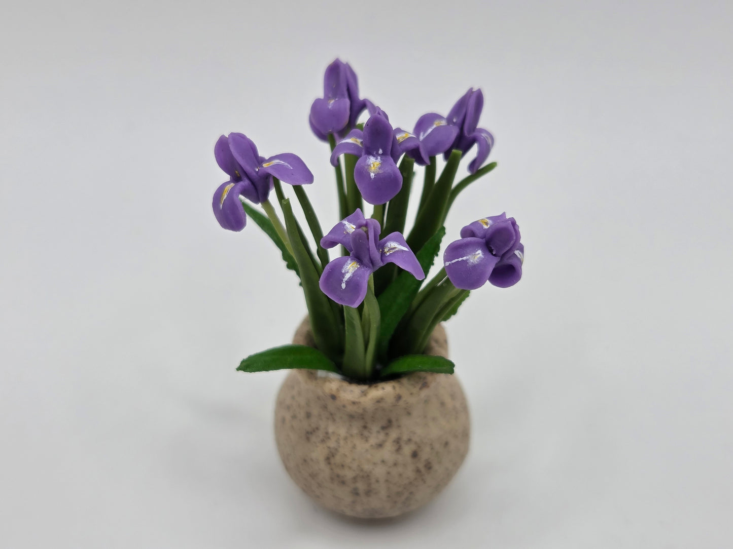 Iris Planter