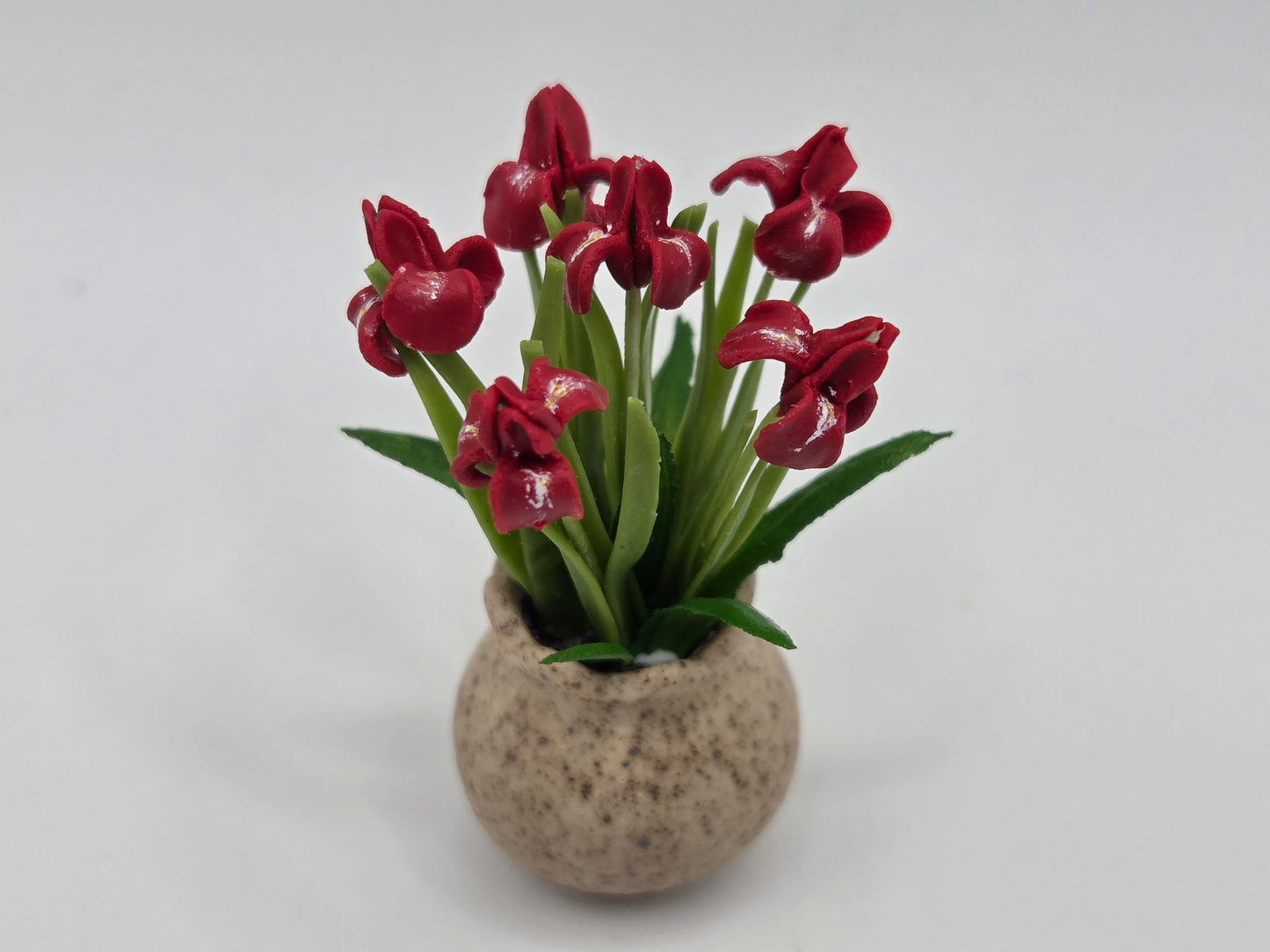 Iris Planter