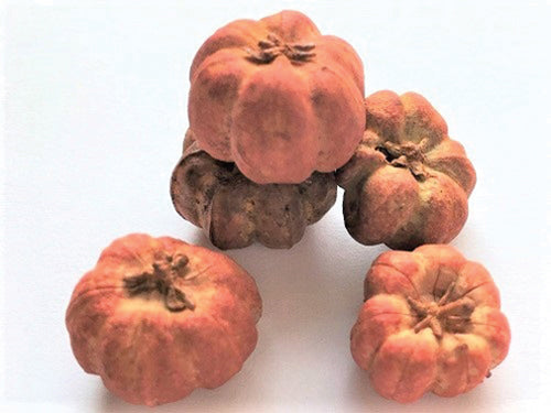 Pumpkins - set of 6