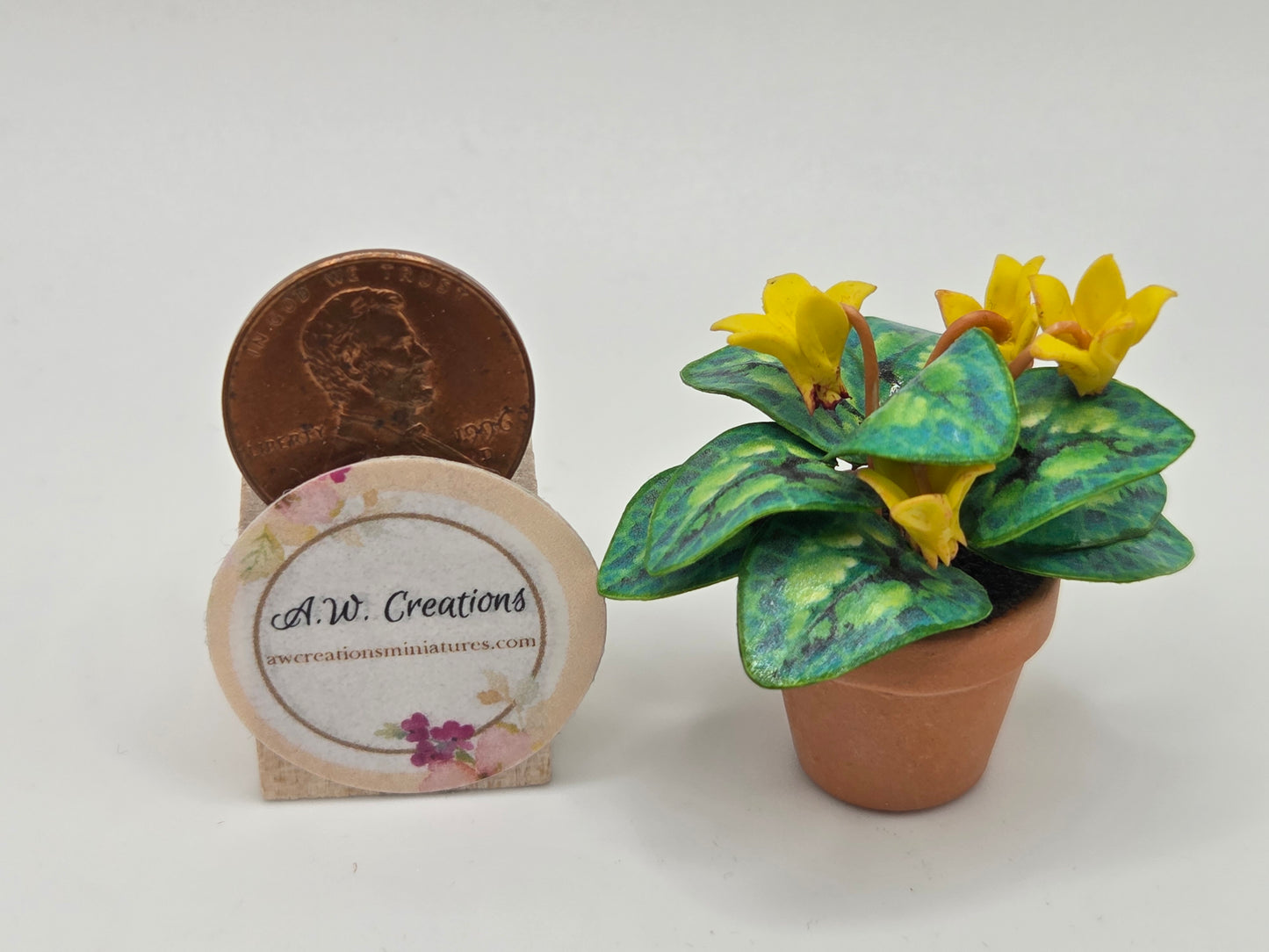 Flowering Plant - Cyclamen