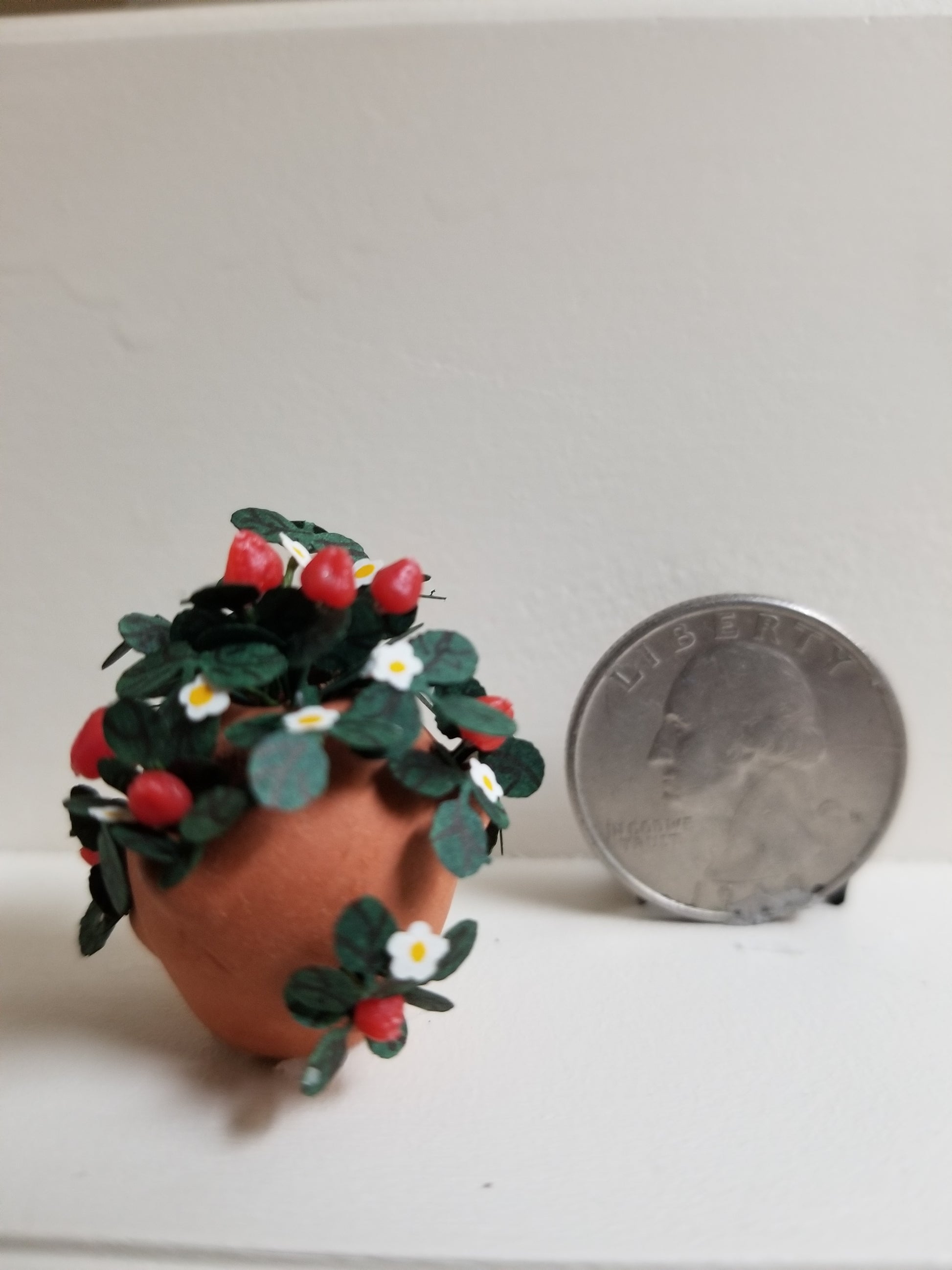 Miniature terra cotta strawberry pot