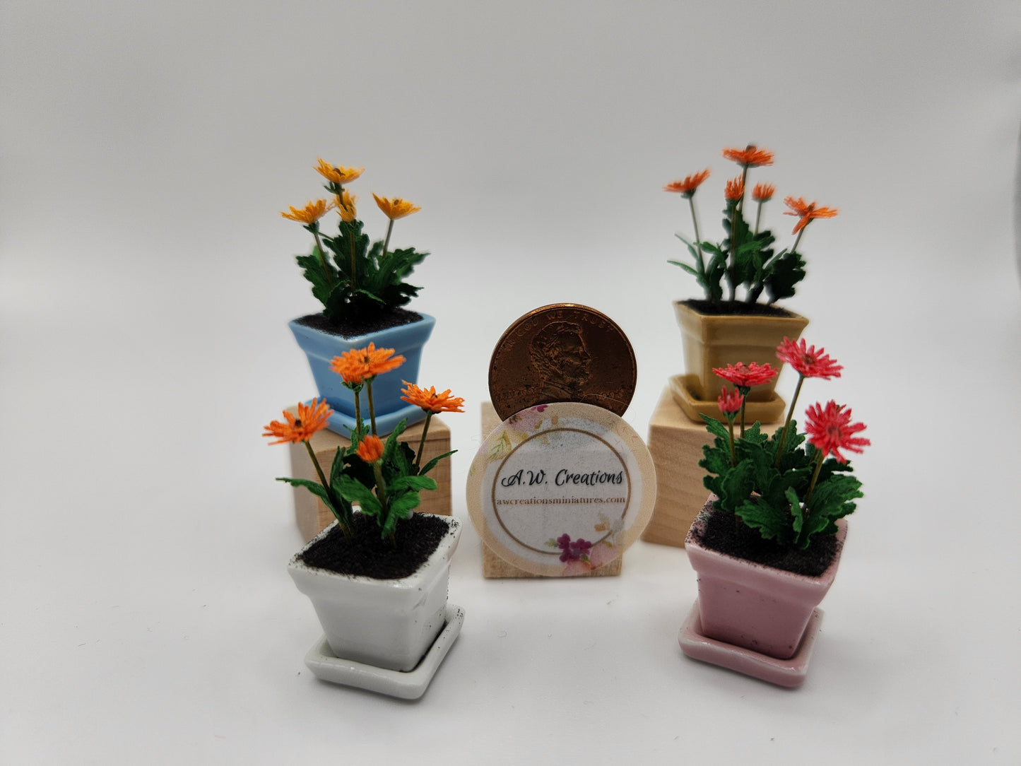 Gerbera Daisy in Ceramic Pot