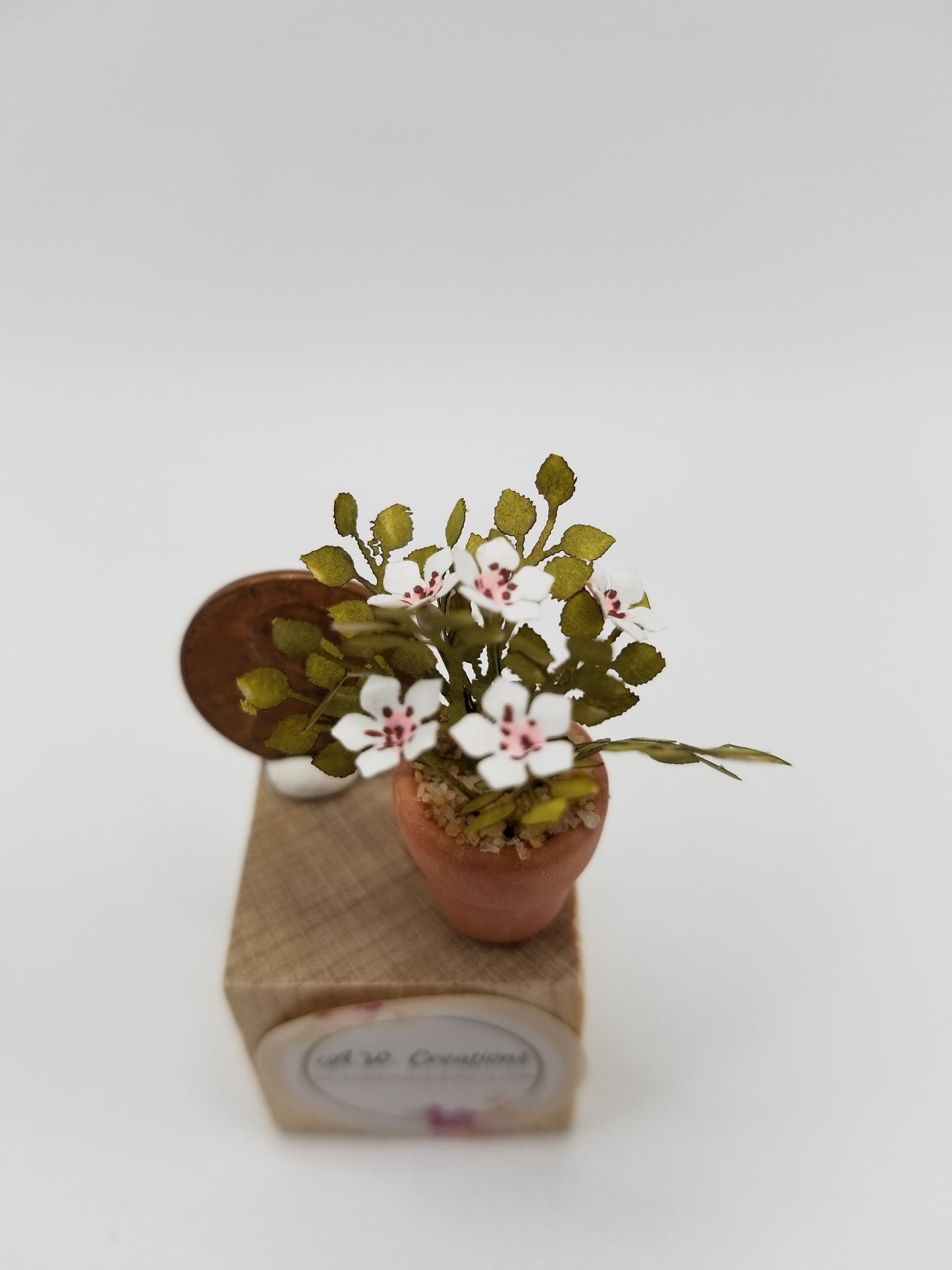 Flowering plant - small terra cotta
