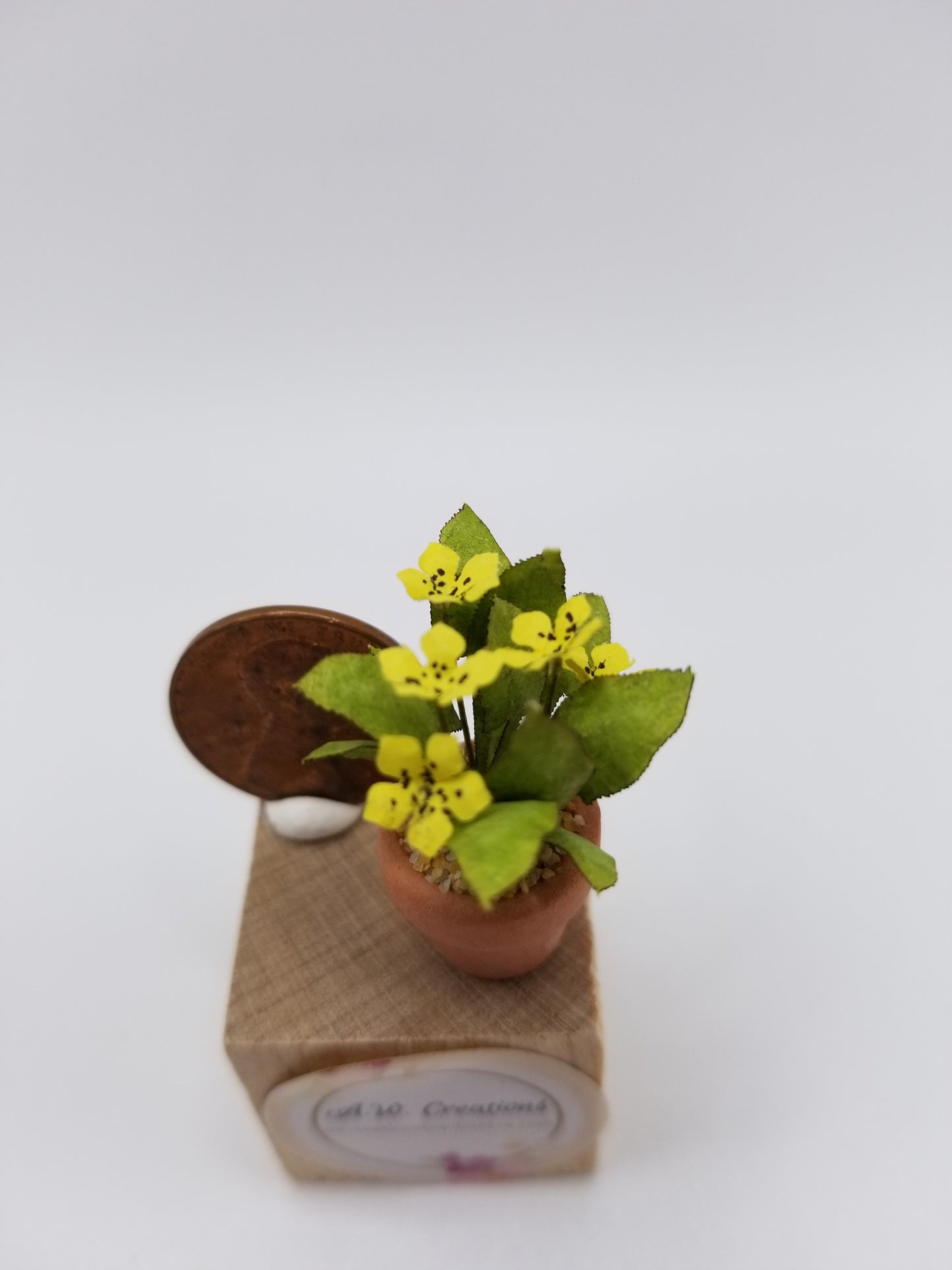 Flowering plant - small terra cotta