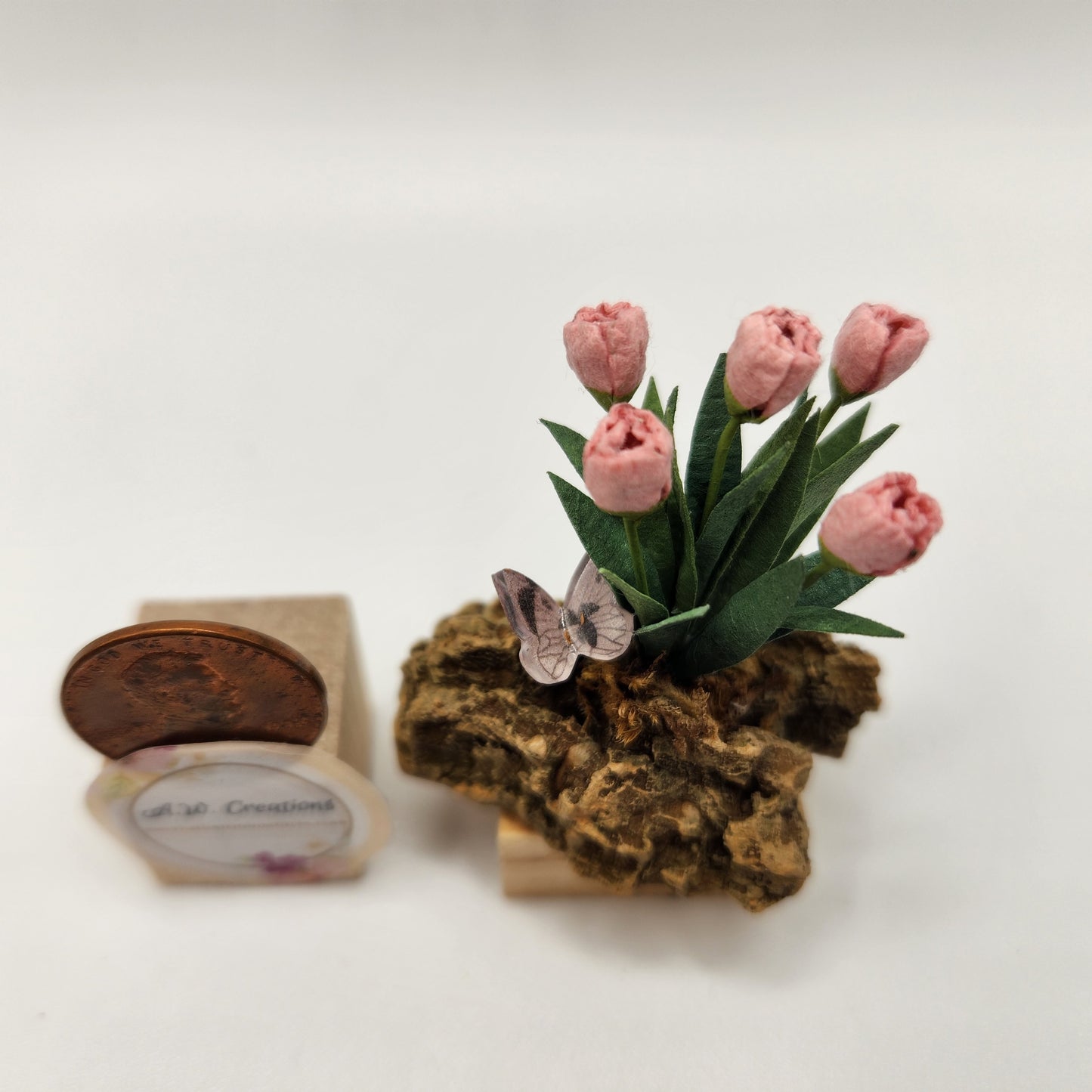 Tulip Plant on a Rock